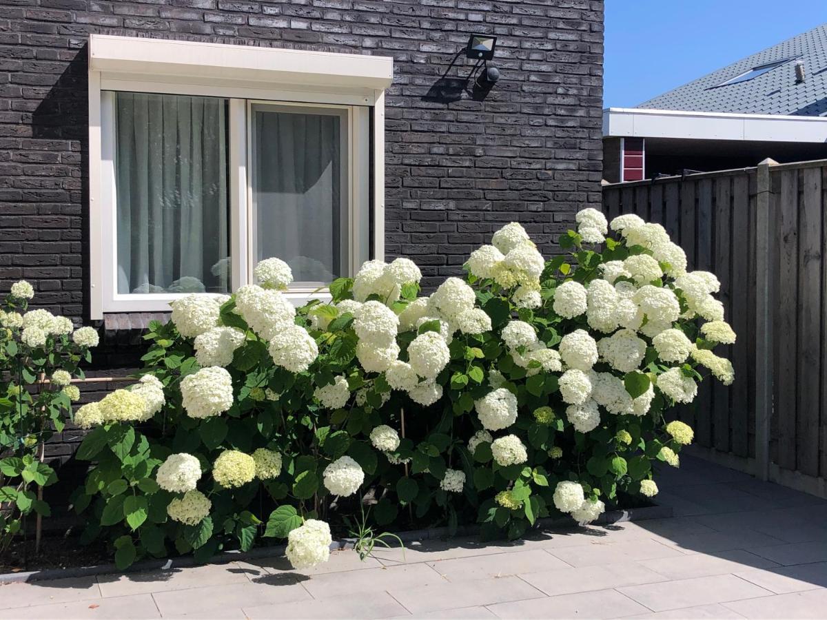 Zoutelande Koddelaan Vakantiewoning المظهر الخارجي الصورة