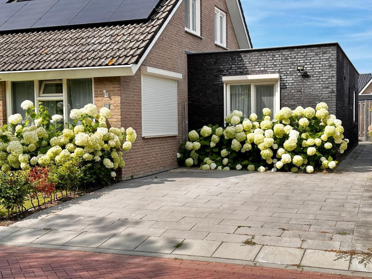 Zoutelande Koddelaan Vakantiewoning المظهر الخارجي الصورة